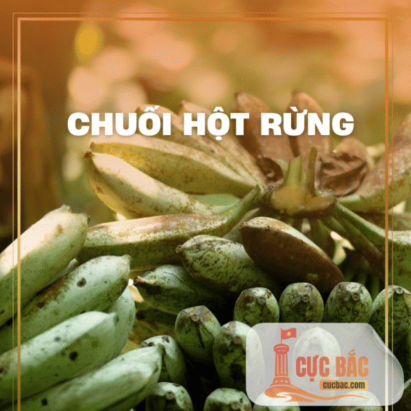 CHUỐI HỘT RỪNG HÀ GIANG